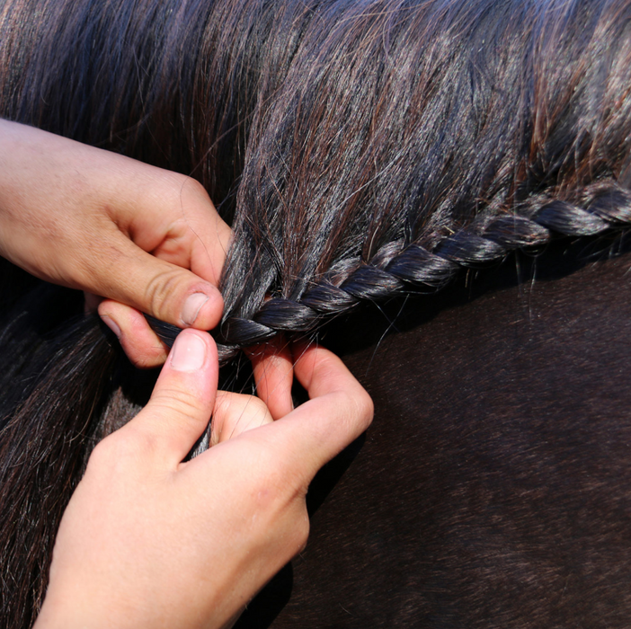 Strong Hold Plait